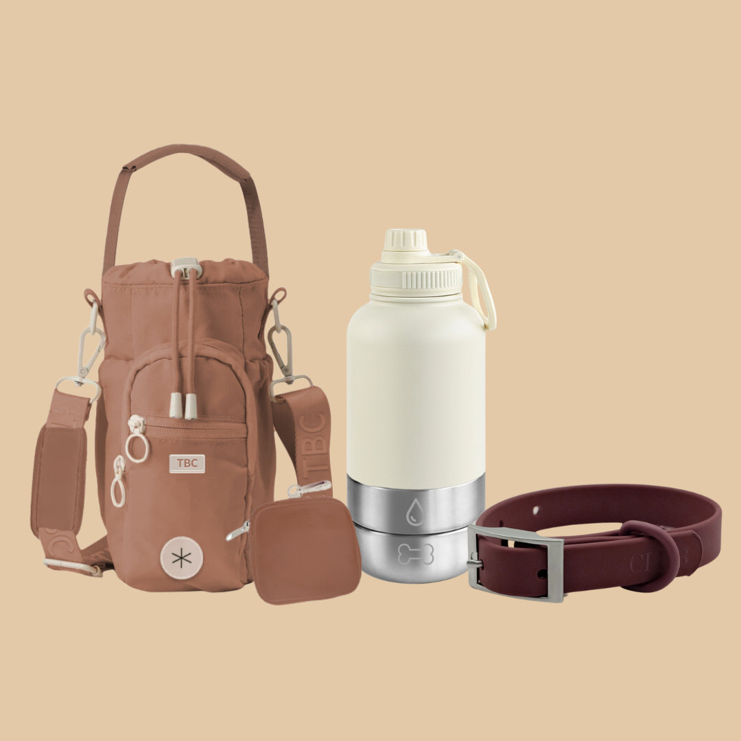 Dog Walking Essentials Set